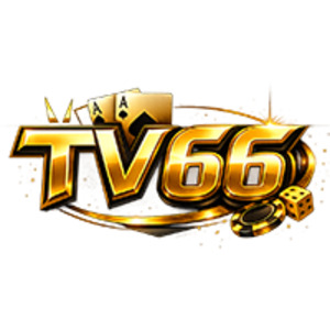 tv66itcom